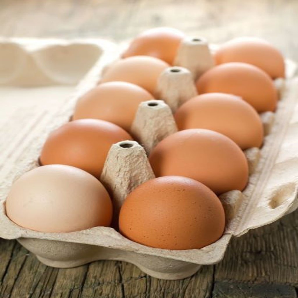 Egg Image