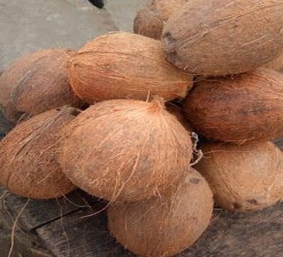 Fresh Coconut