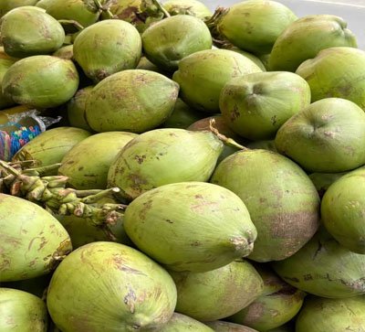 Tender Coconut